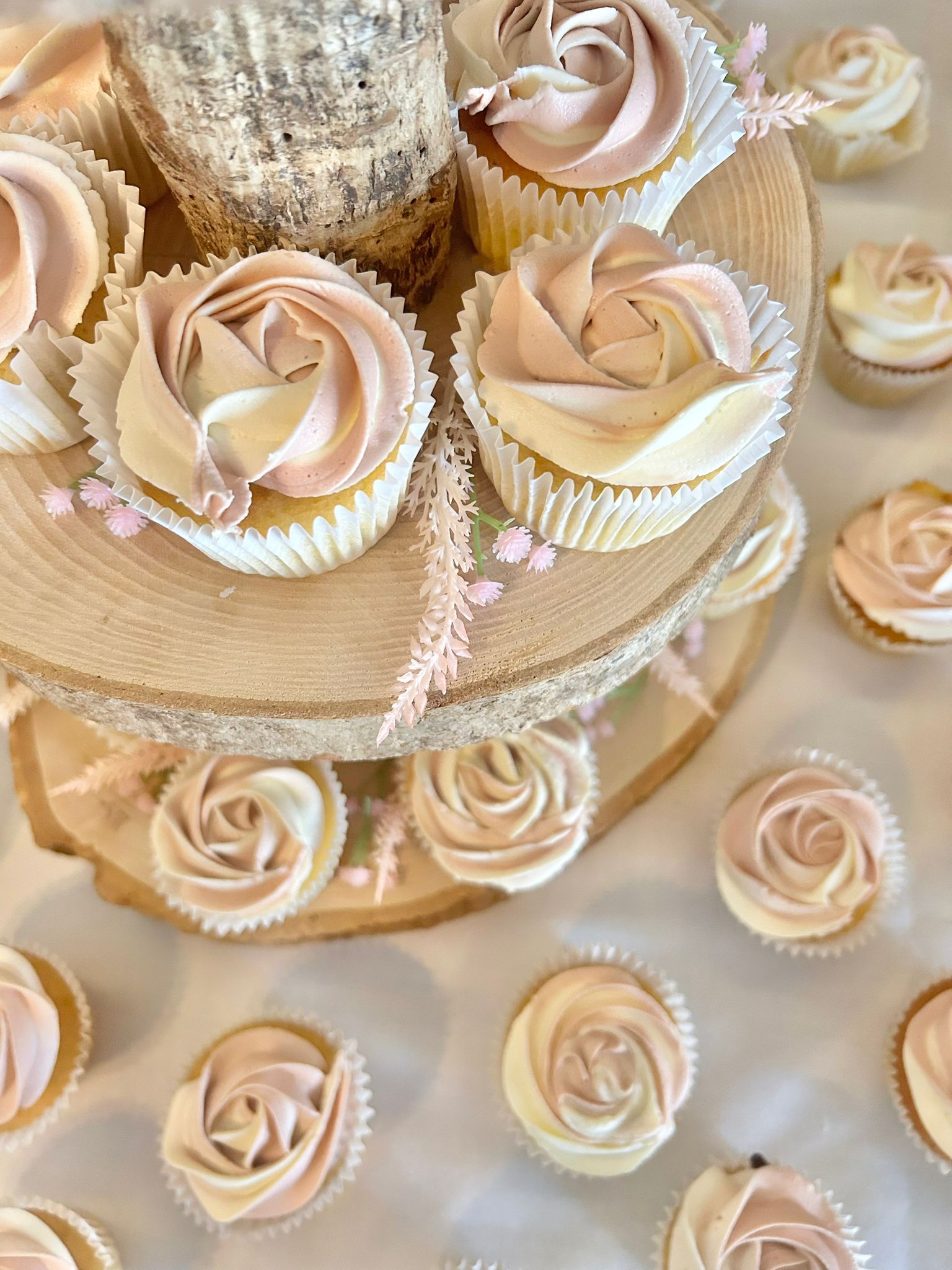 WhatsApp Image 2025-11-12 at 23.05.32 (1).jpeg