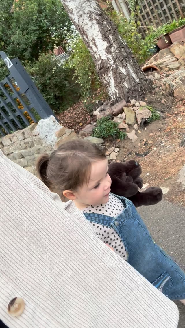 Instagram post DTs-pZiDMeT